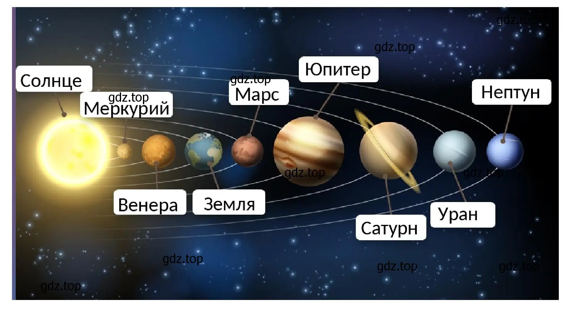 Решение номер 3 (страница 40) гдз по окружающему миру 3 класс Плешаков, Новицкая, рабочая тетрадь 1 часть