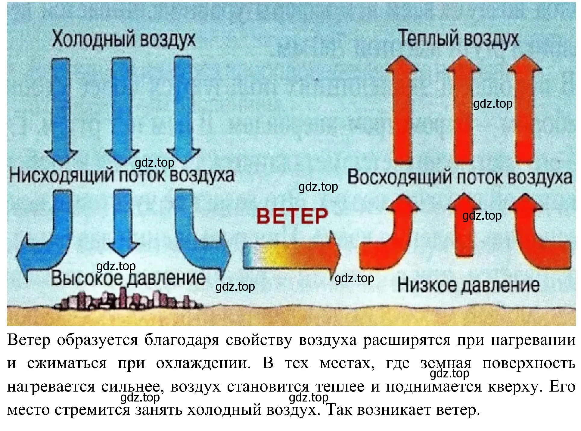 Решение номер 1 (страница 42) гдз по окружающему миру 3 класс Плешаков, Новицкая, рабочая тетрадь 1 часть