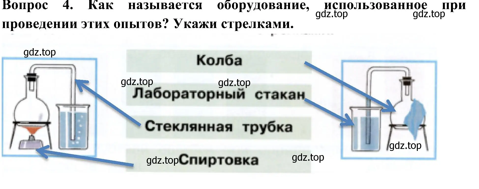 Решение номер 4 (страница 43) гдз по окружающему миру 3 класс Плешаков, Новицкая, рабочая тетрадь 1 часть