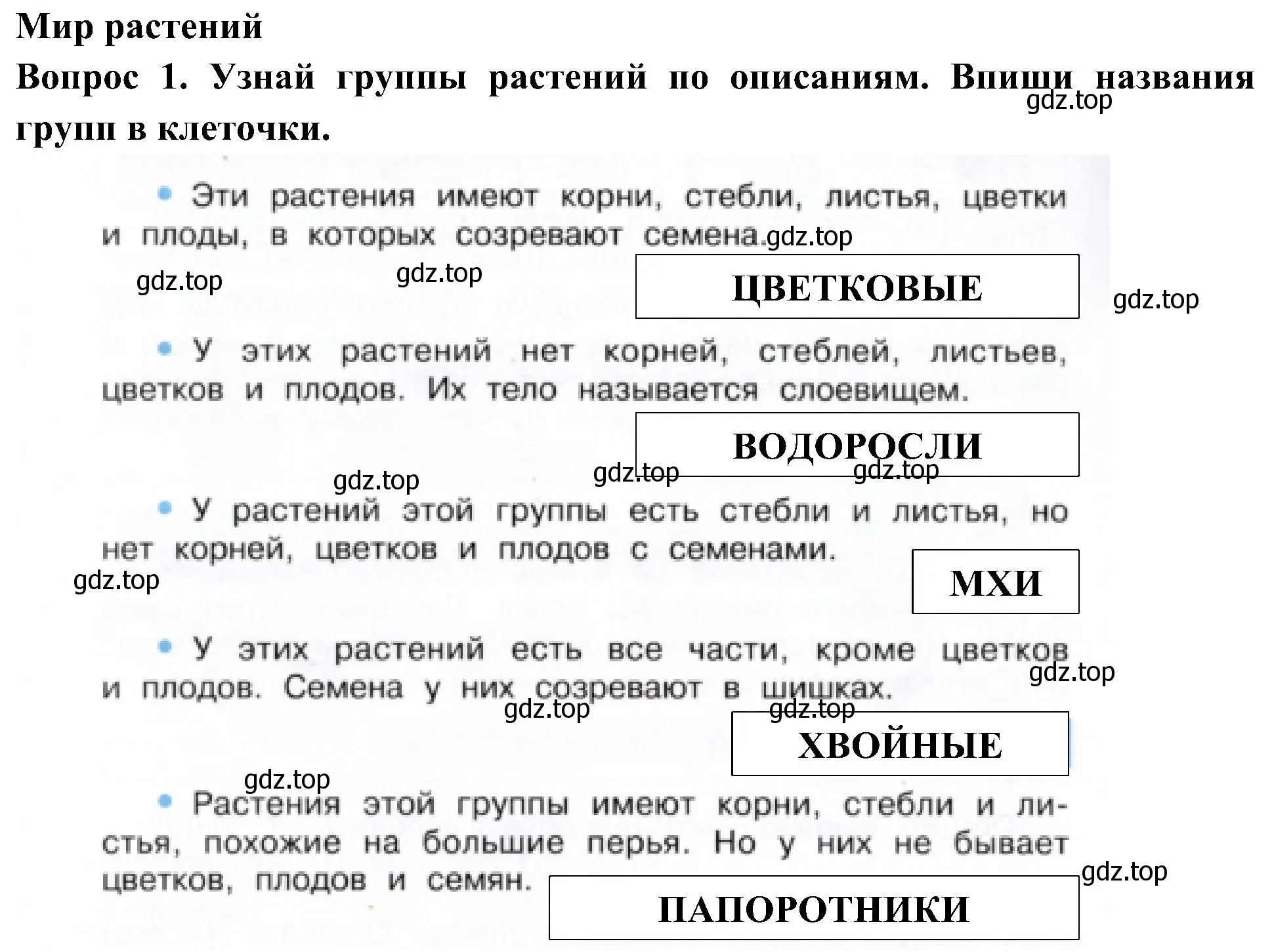 Решение номер 1 (страница 52) гдз по окружающему миру 3 класс Плешаков, Новицкая, рабочая тетрадь 1 часть