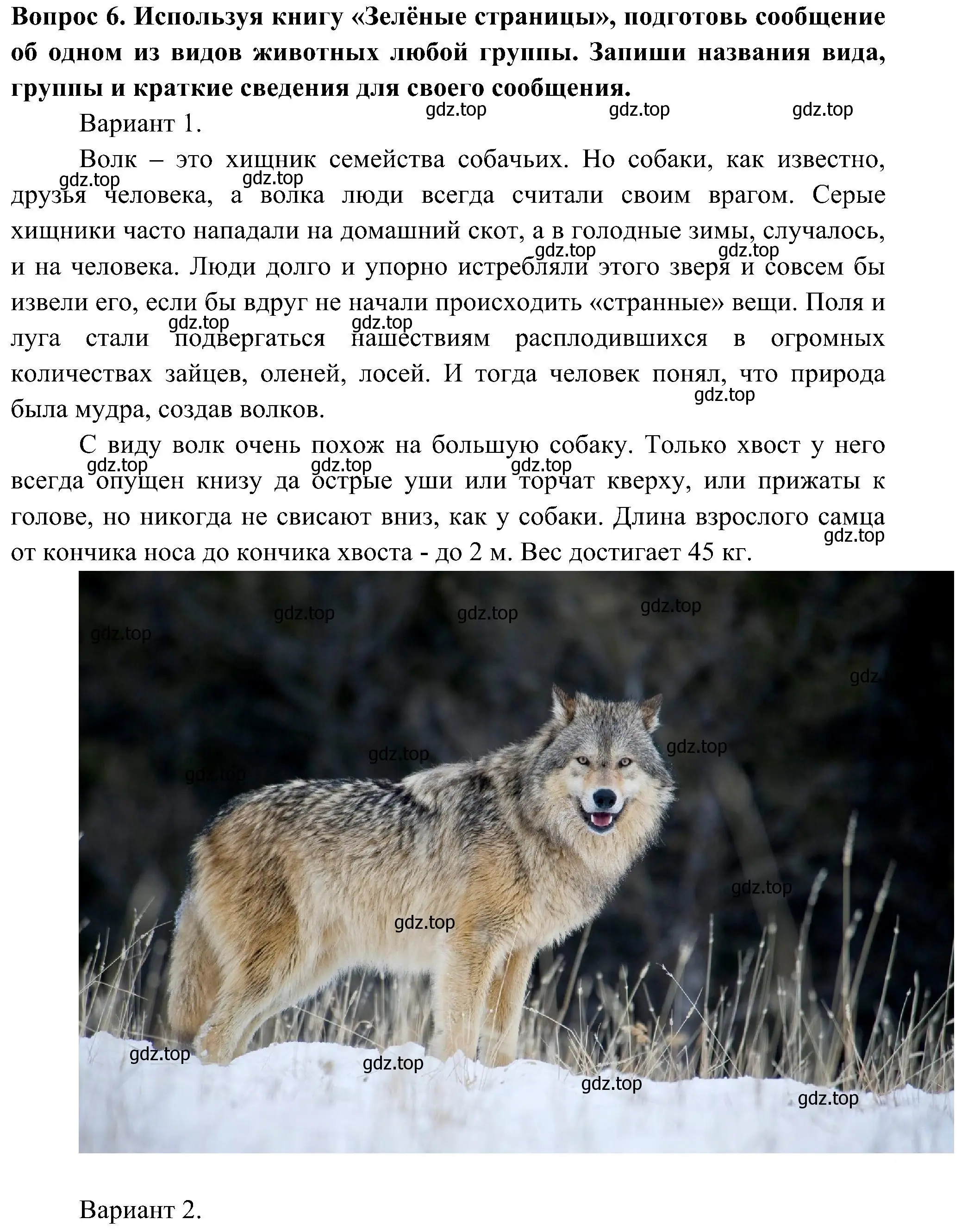 Решение номер 6 (страница 61) гдз по окружающему миру 3 класс Плешаков, Новицкая, рабочая тетрадь 1 часть