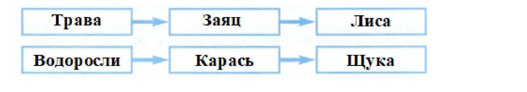 Решение номер 4 (страница 67) гдз по окружающему миру 3 класс Плешаков, Новицкая, рабочая тетрадь 1 часть