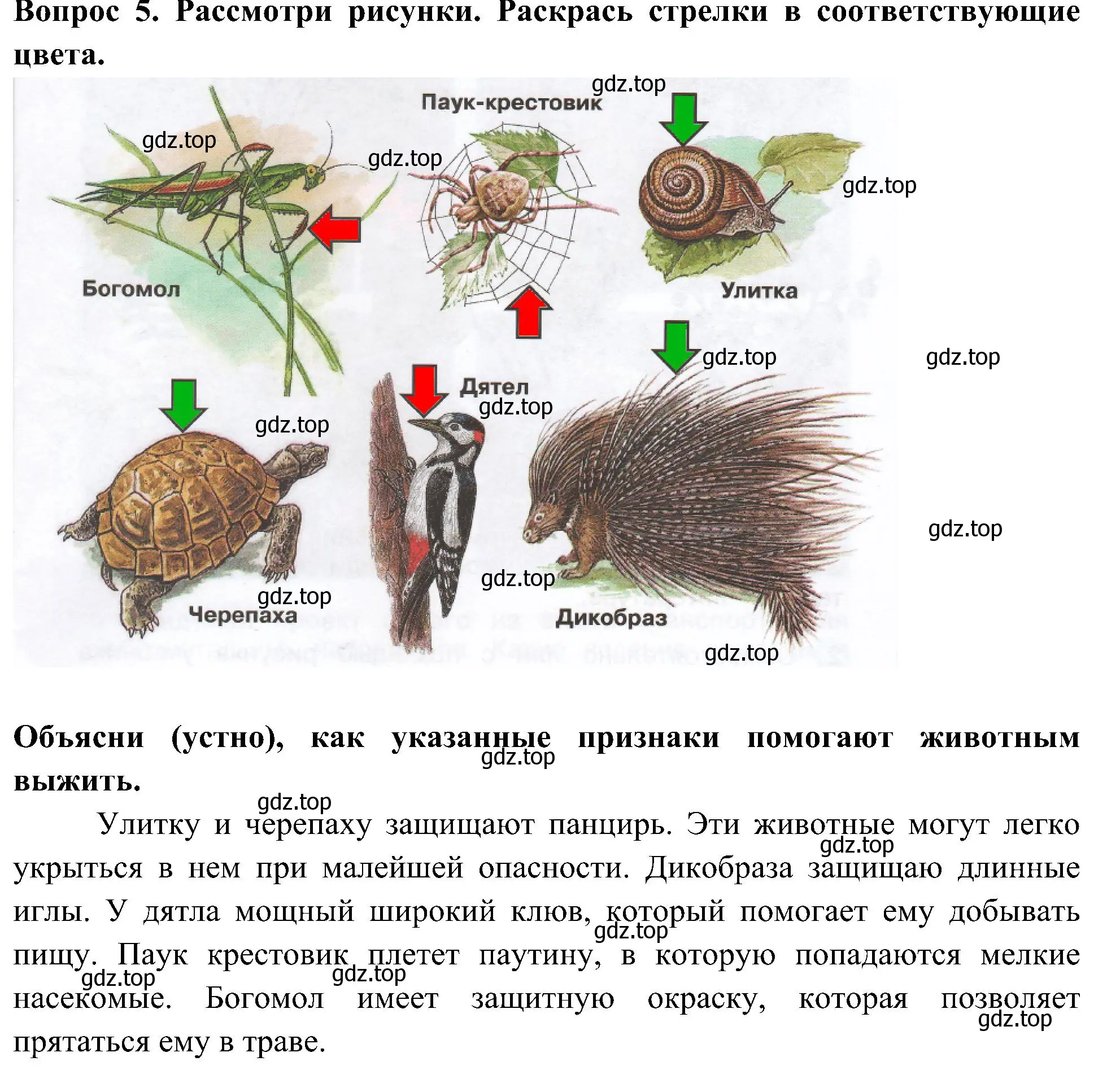 Решение номер 5 (страница 67) гдз по окружающему миру 3 класс Плешаков, Новицкая, рабочая тетрадь 1 часть