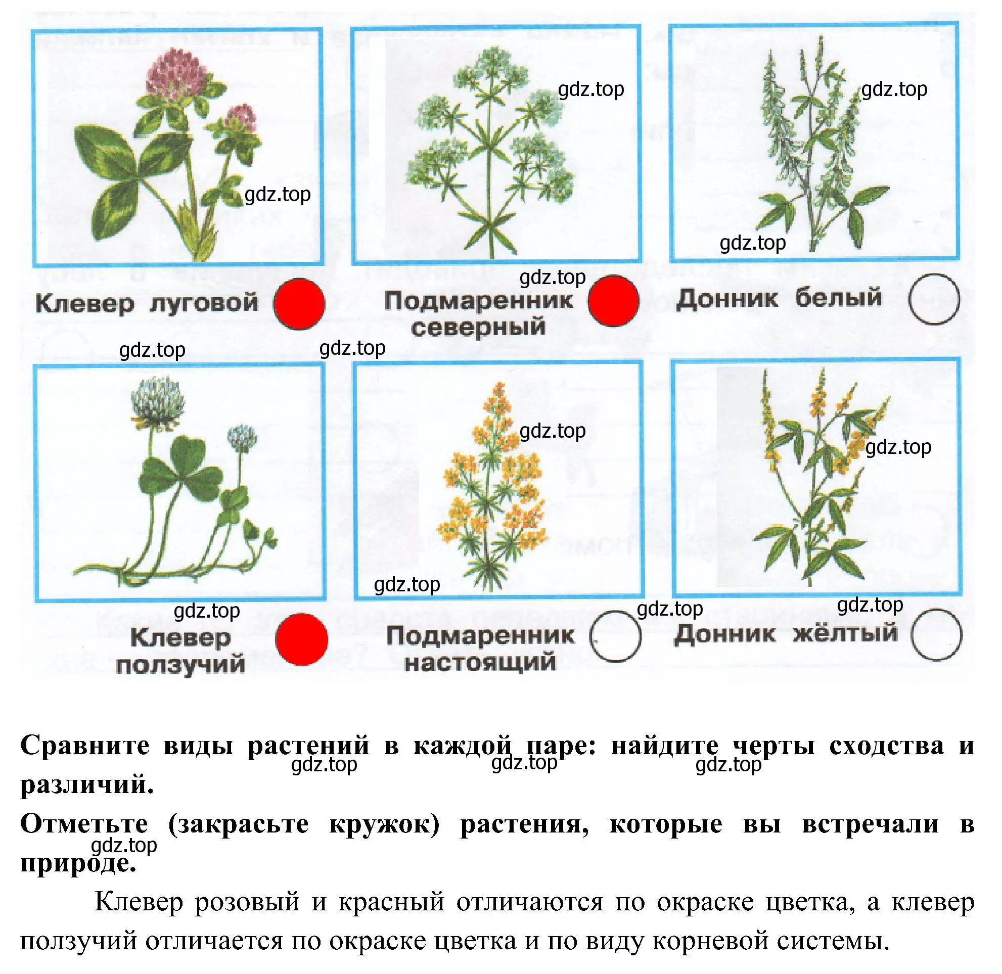 Решение номер 2 (страница 70) гдз по окружающему миру 3 класс Плешаков, Новицкая, рабочая тетрадь 1 часть