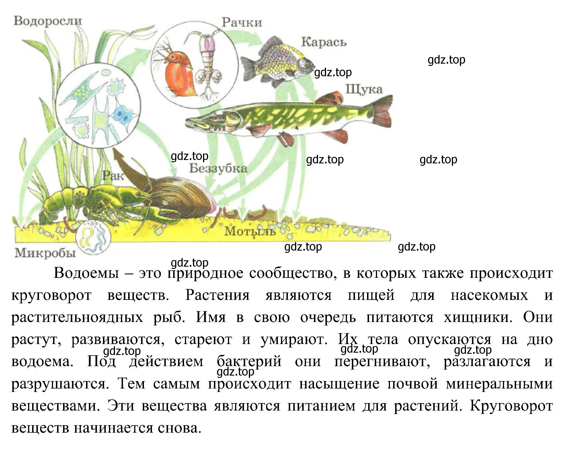 Решение номер 6 (страница 76) гдз по окружающему миру 3 класс Плешаков, Новицкая, рабочая тетрадь 1 часть