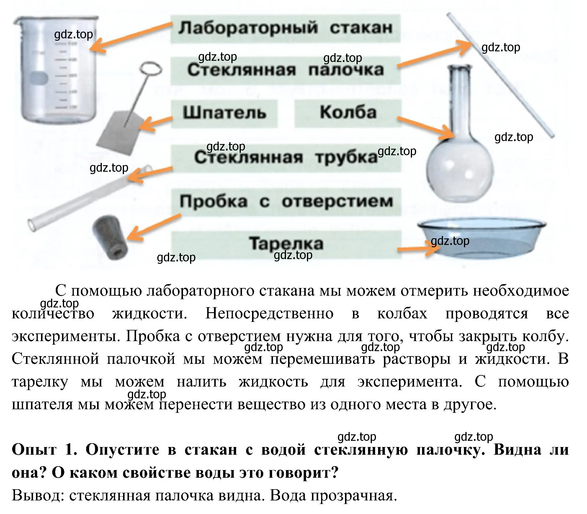 Решение номер 1 (страница 44) гдз по окружающему миру 3 класс Плешаков, Новицкая, рабочая тетрадь 1 часть