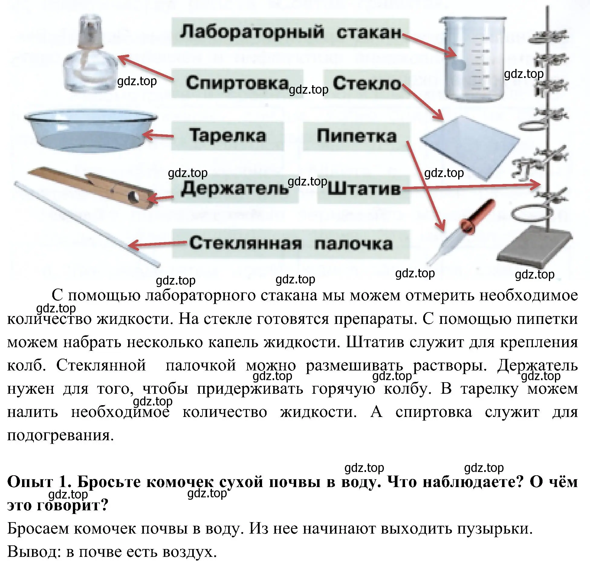Решение номер 1 (страница 50) гдз по окружающему миру 3 класс Плешаков, Новицкая, рабочая тетрадь 1 часть