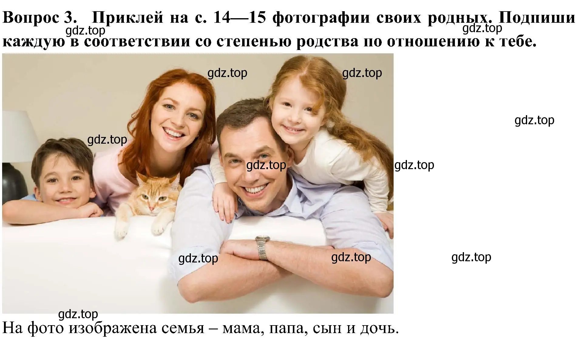 Решение номер 3 (страница 14) гдз по окружающему миру 3 класс Плешаков, Новицкая, рабочая тетрадь 2 часть