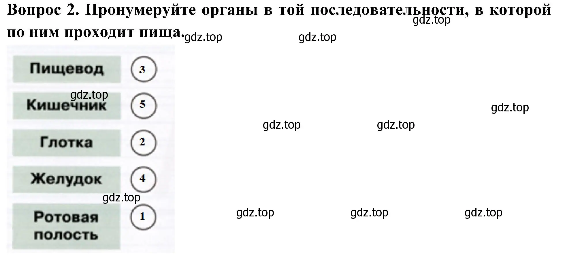 Решение номер 2 (страница 30) гдз по окружающему миру 3 класс Плешаков, Новицкая, рабочая тетрадь 2 часть