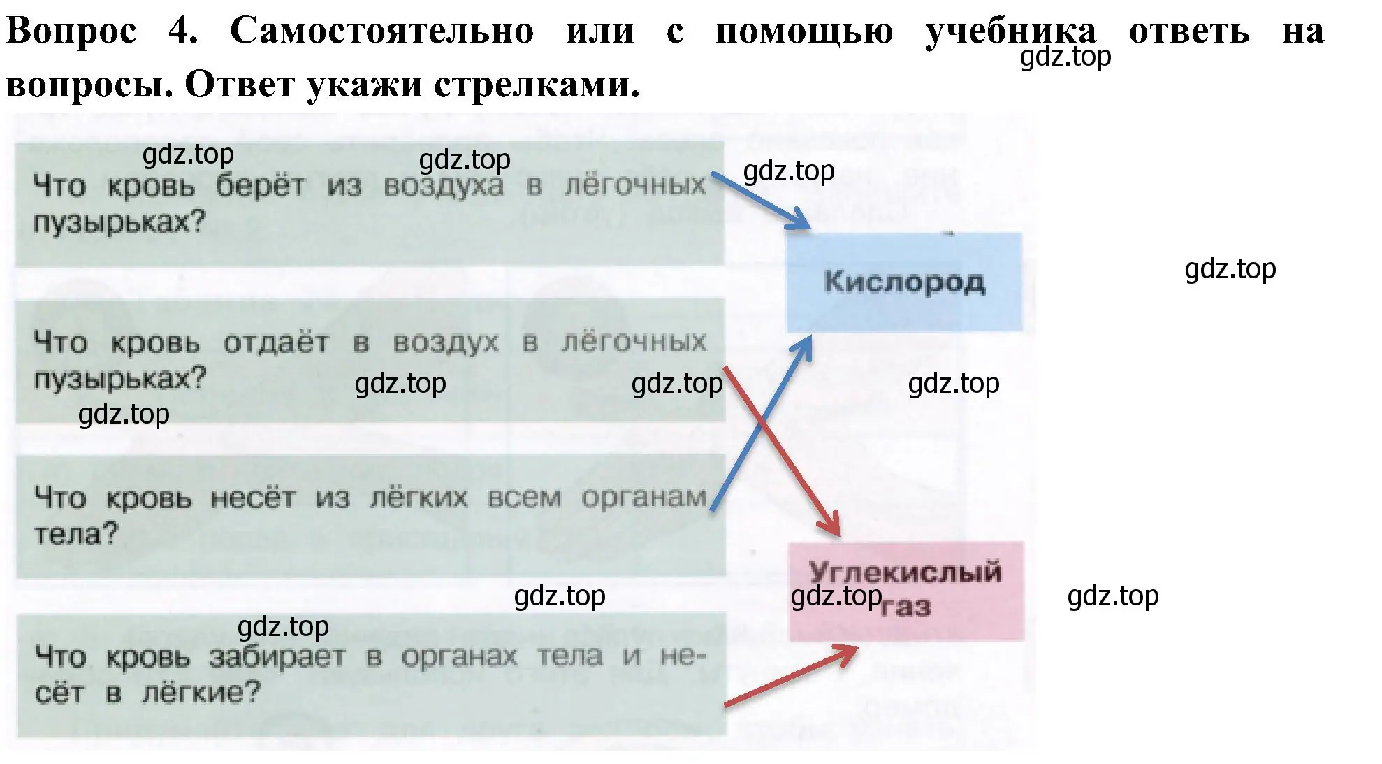 Решение номер 4 (страница 31) гдз по окружающему миру 3 класс Плешаков, Новицкая, рабочая тетрадь 2 часть