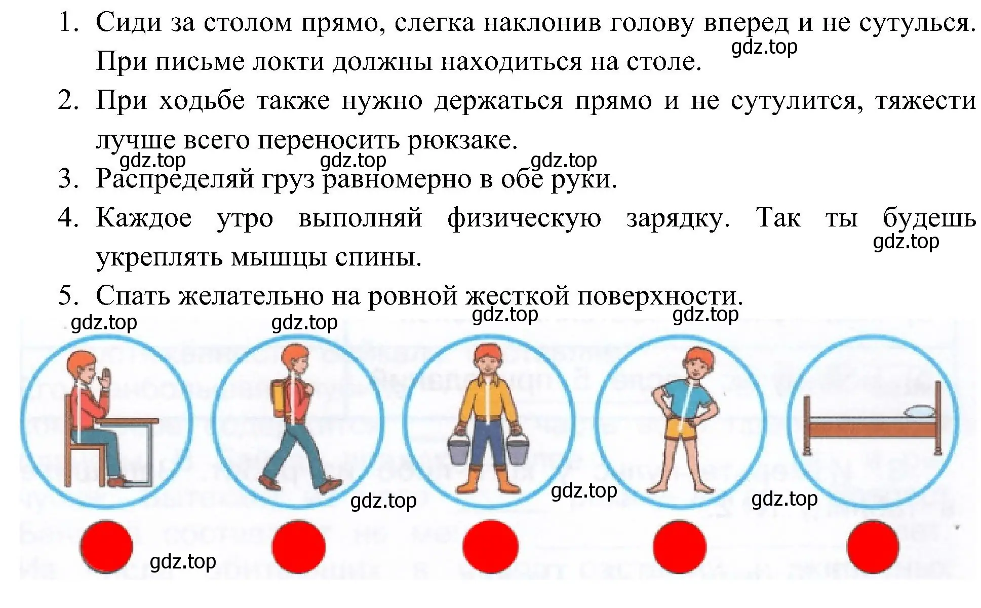 Решение номер 1 (страница 34) гдз по окружающему миру 3 класс Плешаков, Новицкая, рабочая тетрадь 2 часть