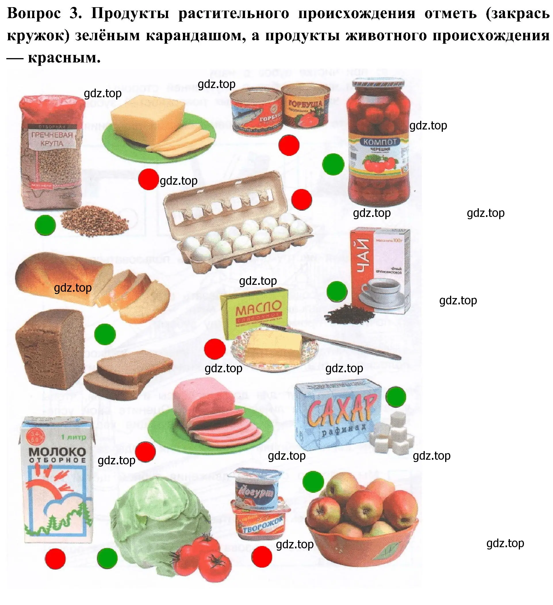 Решение номер 3 (страница 36) гдз по окружающему миру 3 класс Плешаков, Новицкая, рабочая тетрадь 2 часть