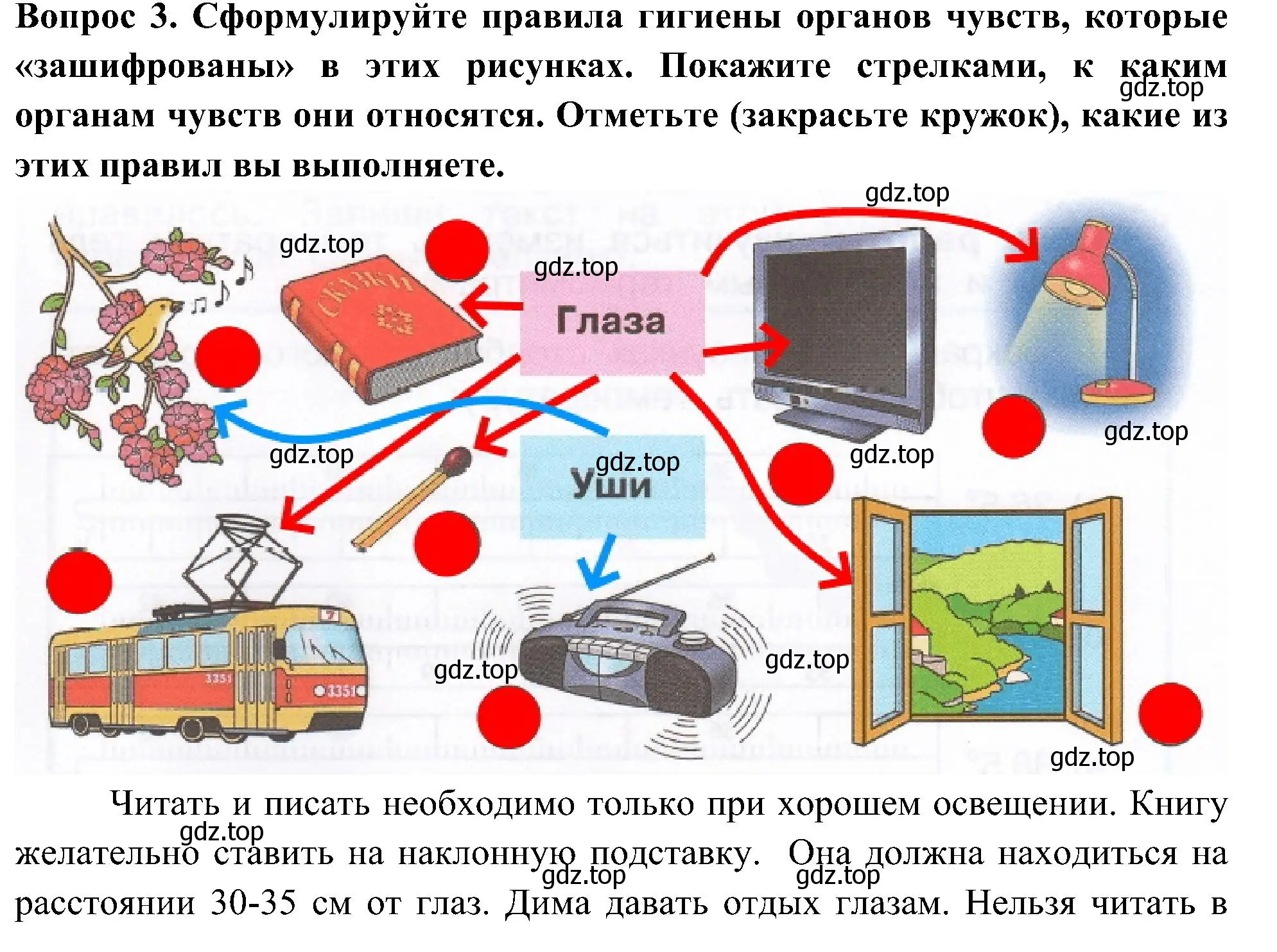 Решение номер 3 (страница 39) гдз по окружающему миру 3 класс Плешаков, Новицкая, рабочая тетрадь 2 часть