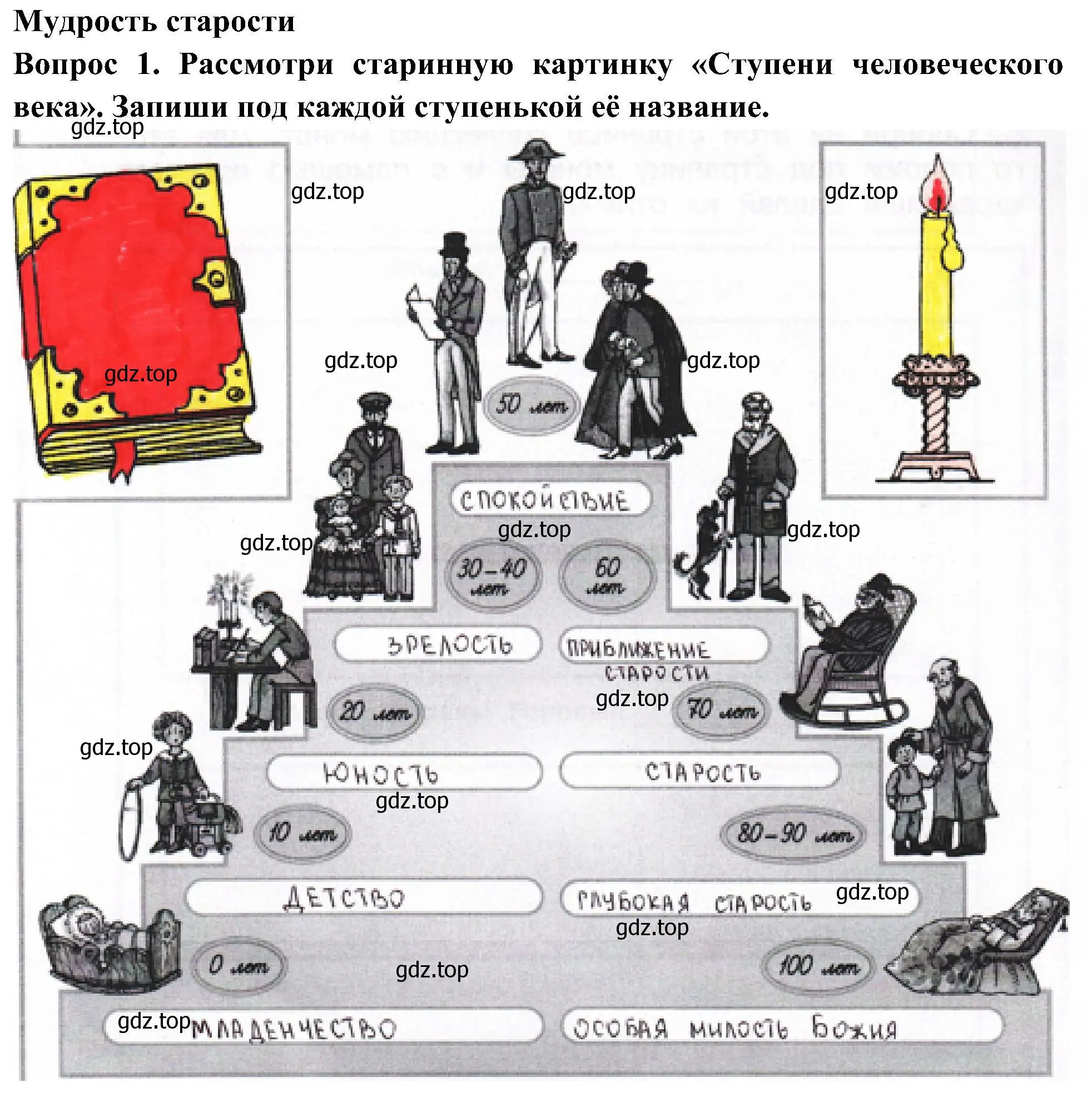 Решение номер 1 (страница 54) гдз по окружающему миру 3 класс Плешаков, Новицкая, рабочая тетрадь 2 часть