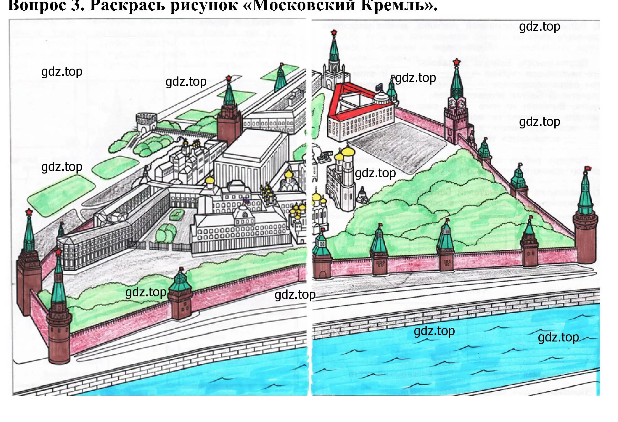 Решение номер 3 (страница 62) гдз по окружающему миру 3 класс Плешаков, Новицкая, рабочая тетрадь 2 часть