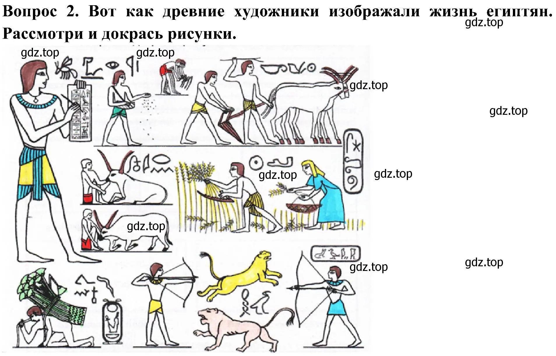 Решение номер 2 (страница 66) гдз по окружающему миру 3 класс Плешаков, Новицкая, рабочая тетрадь 2 часть