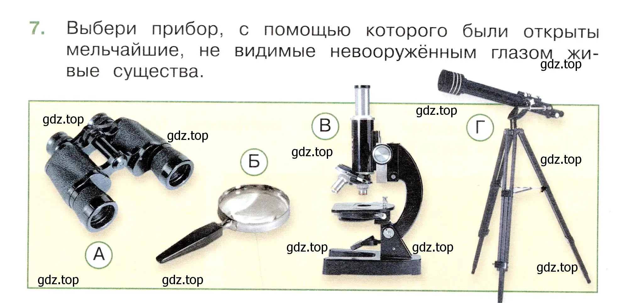 Условие номер 7 (страница 4) гдз по окружающему миру 3 класс Плешаков, Новицкая, тесты