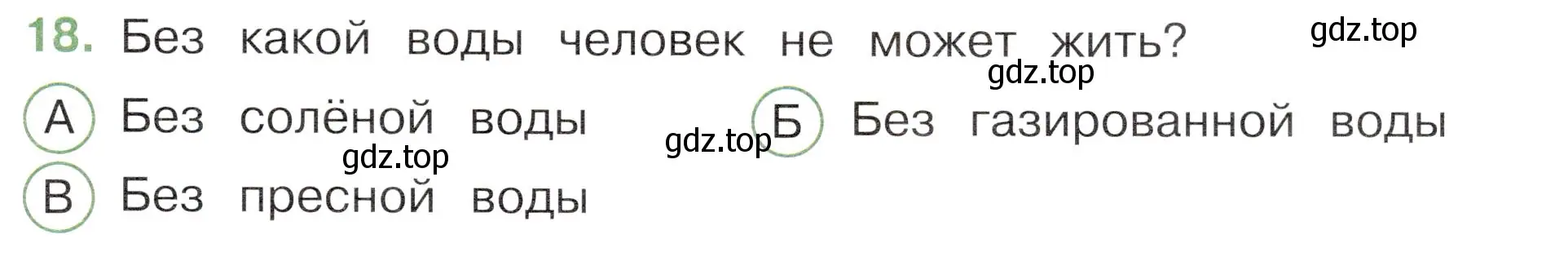 Условие номер 18 (страница 21) гдз по окружающему миру 3 класс Плешаков, Новицкая, тесты