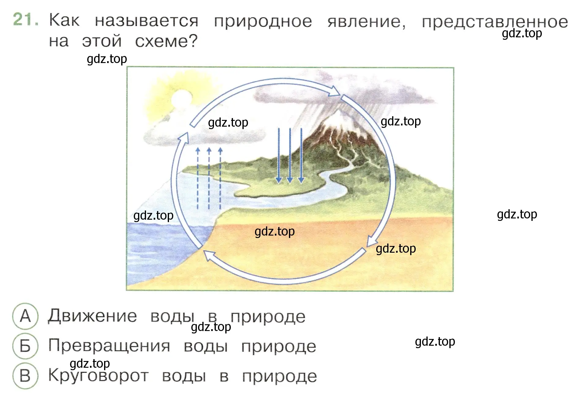 Условие номер 21 (страница 21) гдз по окружающему миру 3 класс Плешаков, Новицкая, тесты