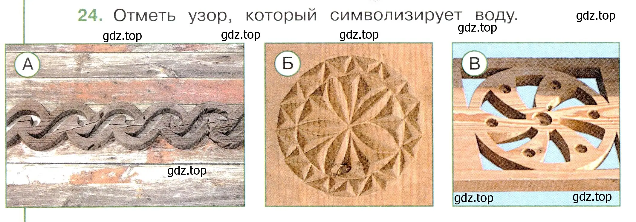 Условие номер 24 (страница 22) гдз по окружающему миру 3 класс Плешаков, Новицкая, тесты