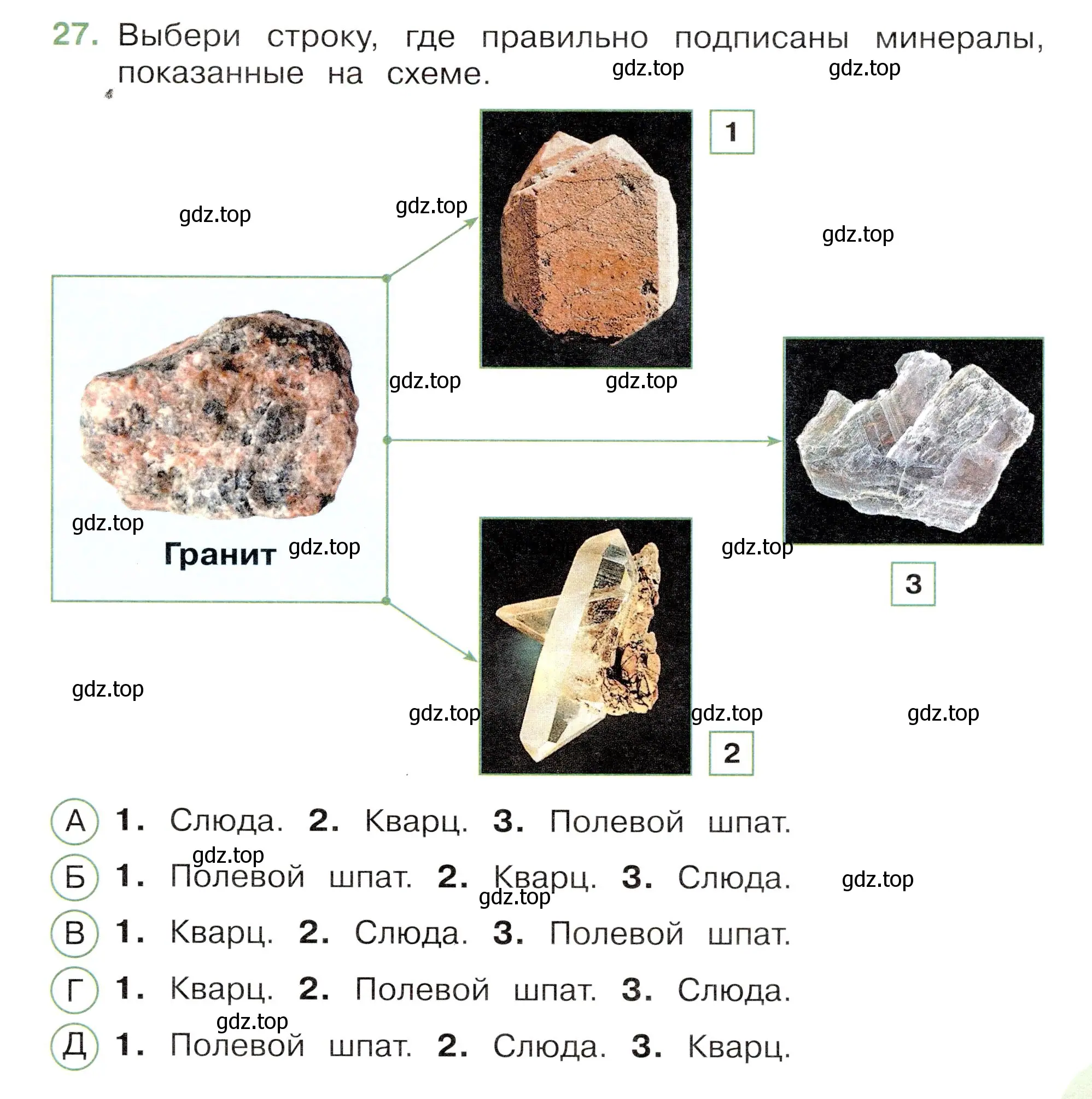 Условие номер 27 (страница 23) гдз по окружающему миру 3 класс Плешаков, Новицкая, тесты