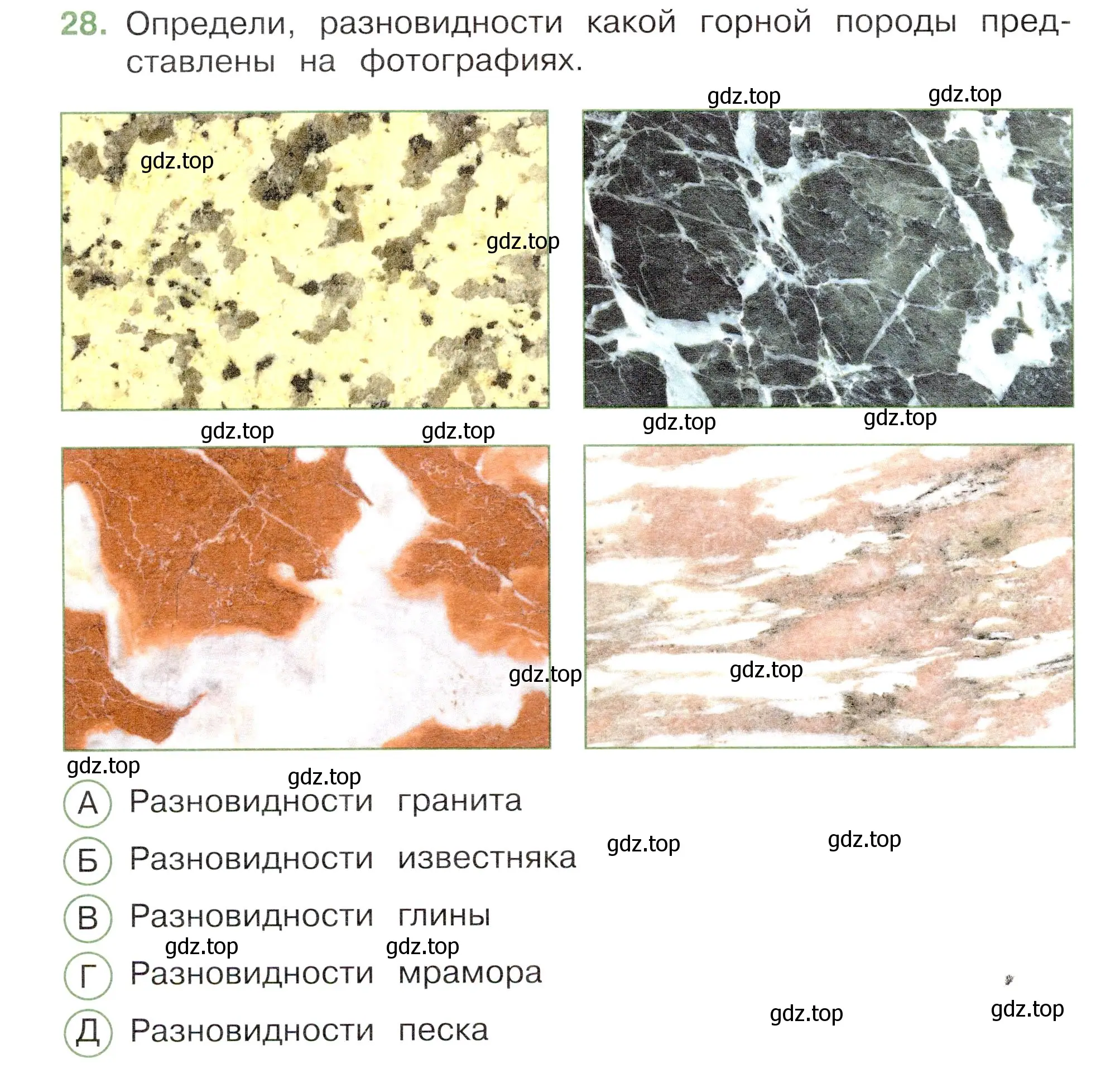 Условие номер 28 (страница 24) гдз по окружающему миру 3 класс Плешаков, Новицкая, тесты