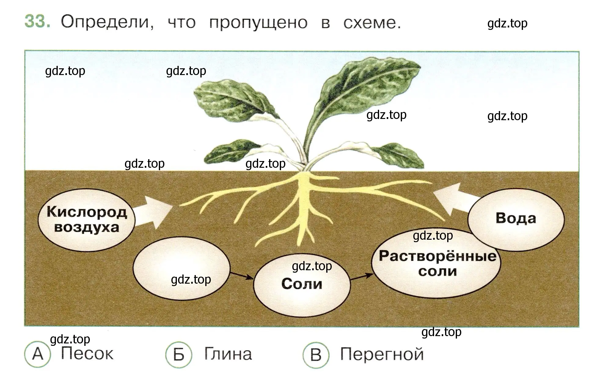 Условие номер 33 (страница 25) гдз по окружающему миру 3 класс Плешаков, Новицкая, тесты