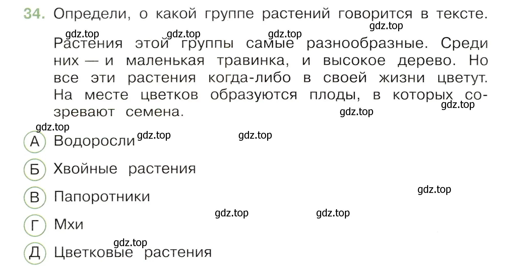 Условие номер 34 (страница 26) гдз по окружающему миру 3 класс Плешаков, Новицкая, тесты