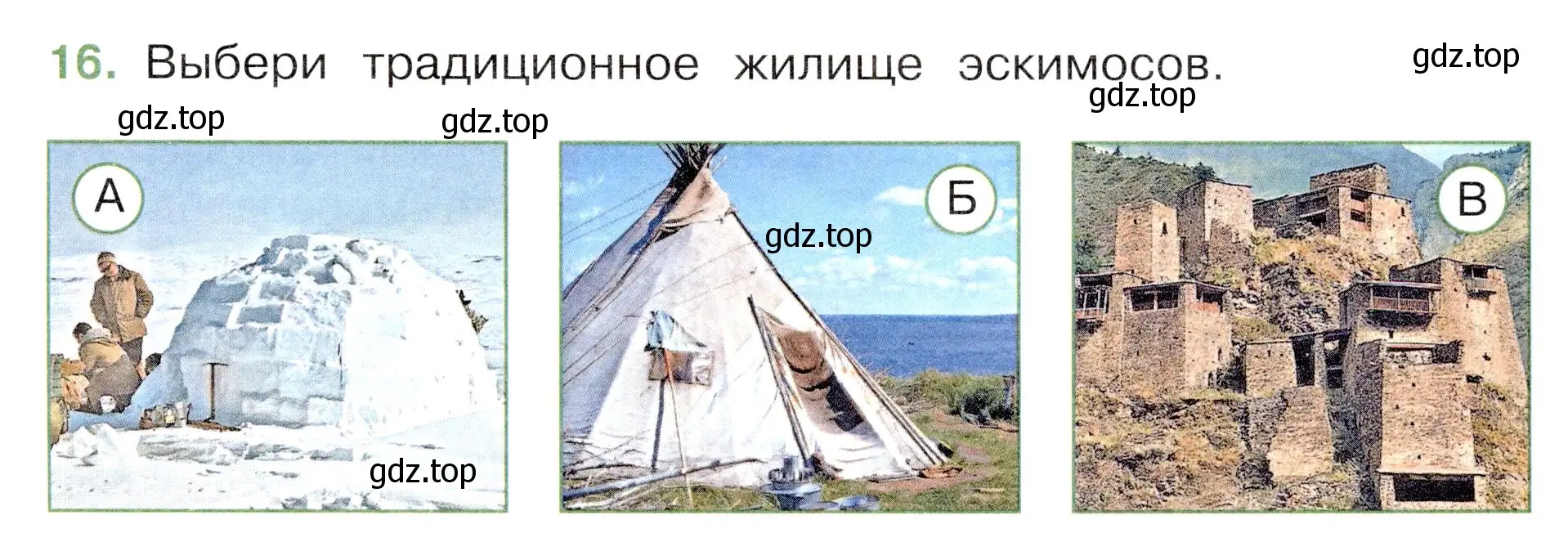 Условие номер 16 (страница 45) гдз по окружающему миру 3 класс Плешаков, Новицкая, тесты