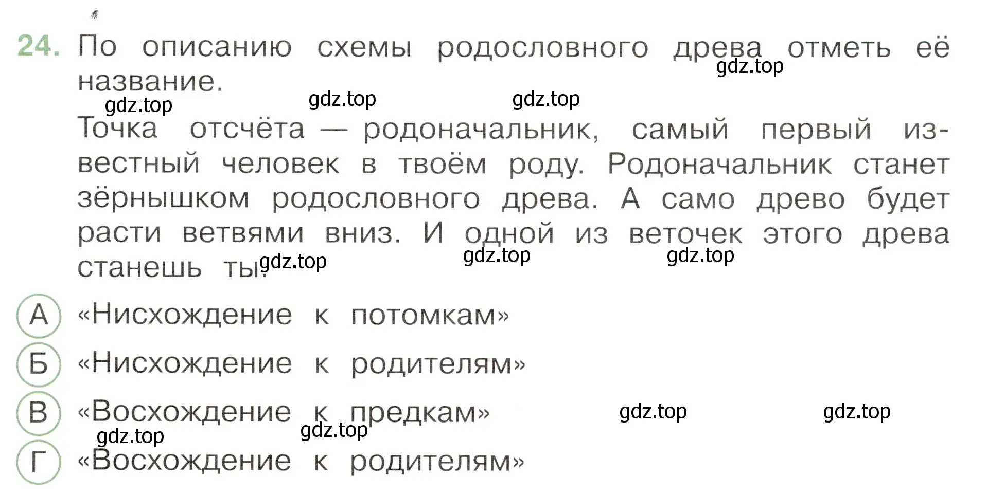 Условие номер 24 (страница 47) гдз по окружающему миру 3 класс Плешаков, Новицкая, тесты