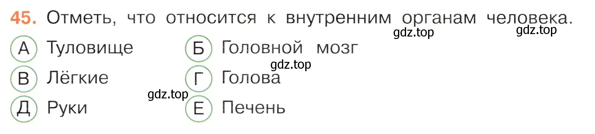 Условие номер 45 (страница 52) гдз по окружающему миру 3 класс Плешаков, Новицкая, тесты