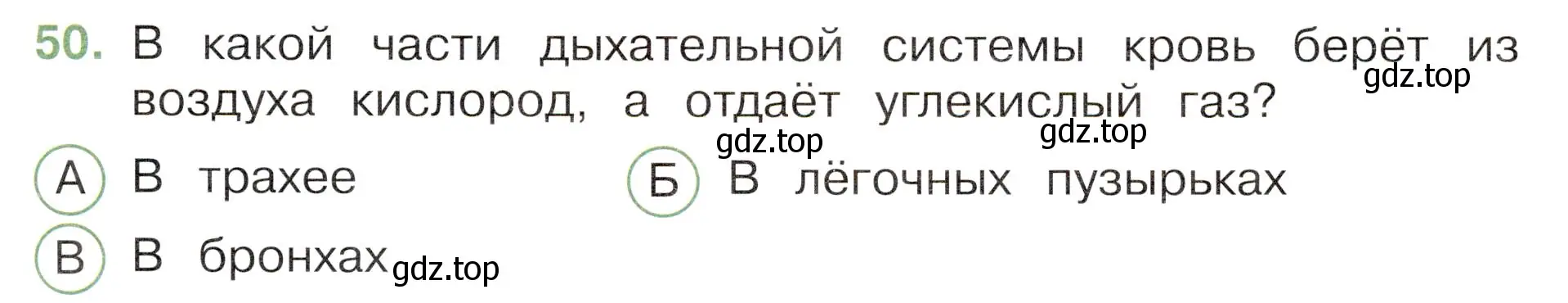 Условие номер 50 (страница 53) гдз по окружающему миру 3 класс Плешаков, Новицкая, тесты