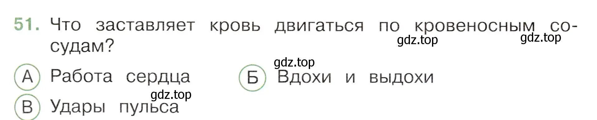 Условие номер 51 (страница 53) гдз по окружающему миру 3 класс Плешаков, Новицкая, тесты