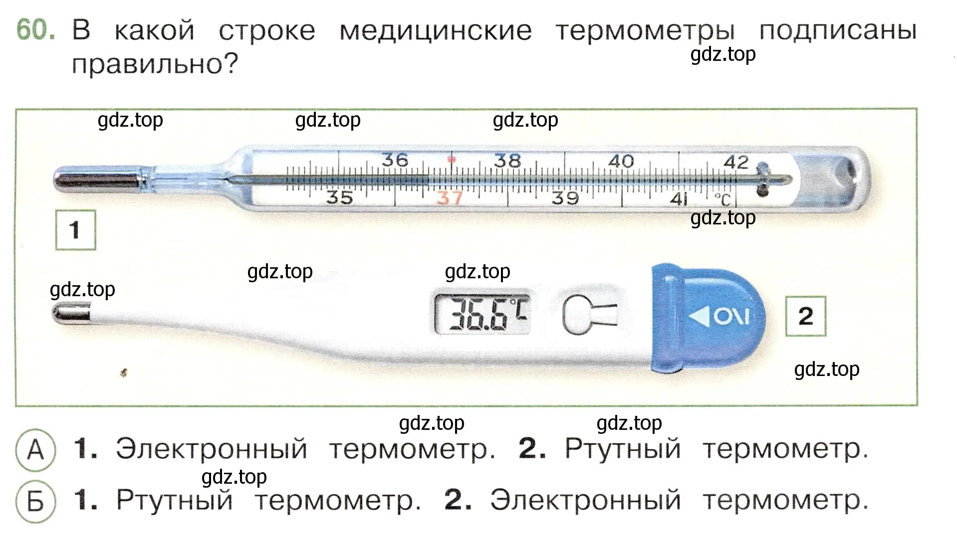 Условие номер 60 (страница 57) гдз по окружающему миру 3 класс Плешаков, Новицкая, тесты