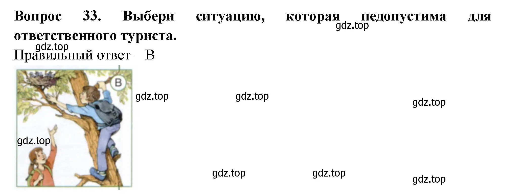 Решение номер 33 (страница 13) гдз по окружающему миру 3 класс Плешаков, Новицкая, тесты