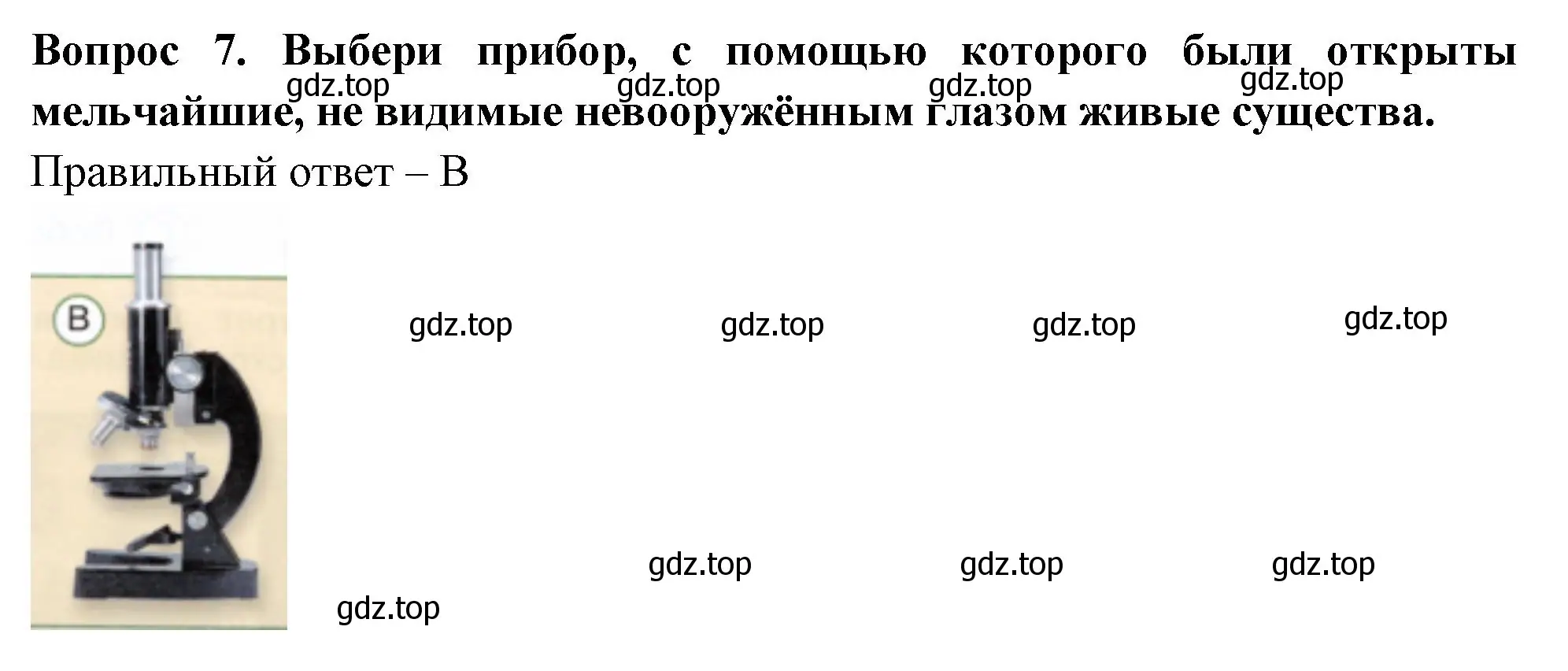 Решение номер 7 (страница 4) гдз по окружающему миру 3 класс Плешаков, Новицкая, тесты