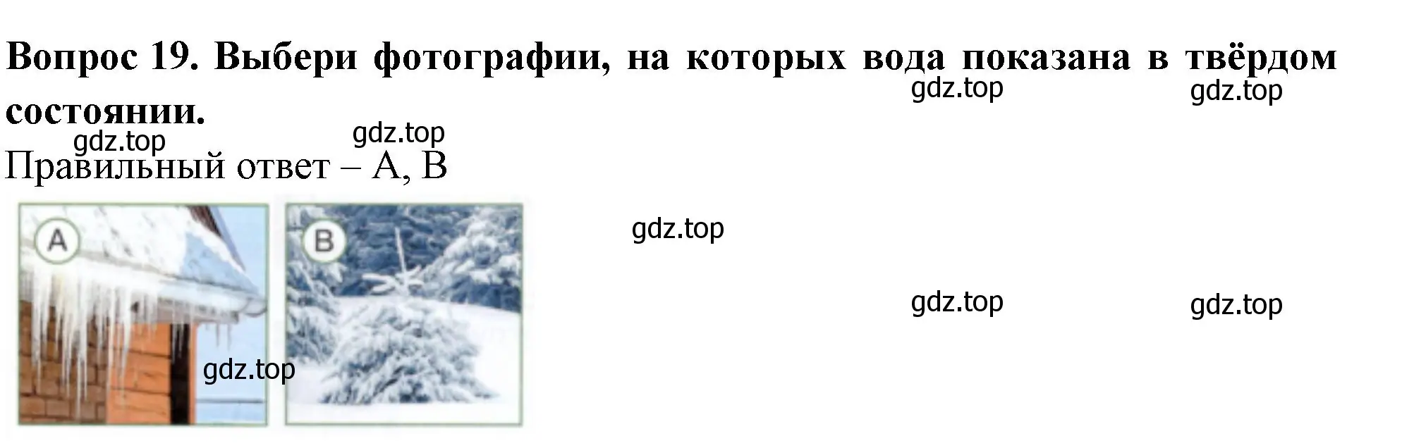 Решение номер 19 (страница 21) гдз по окружающему миру 3 класс Плешаков, Новицкая, тесты