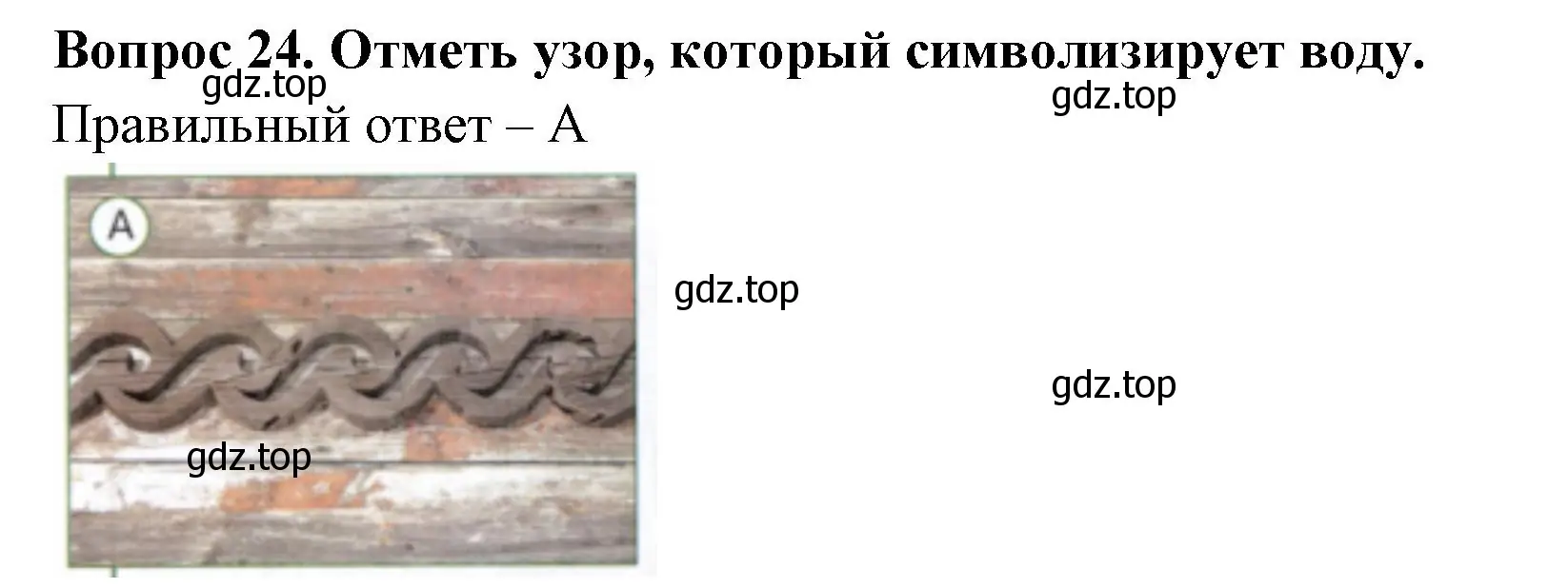 Решение номер 24 (страница 22) гдз по окружающему миру 3 класс Плешаков, Новицкая, тесты