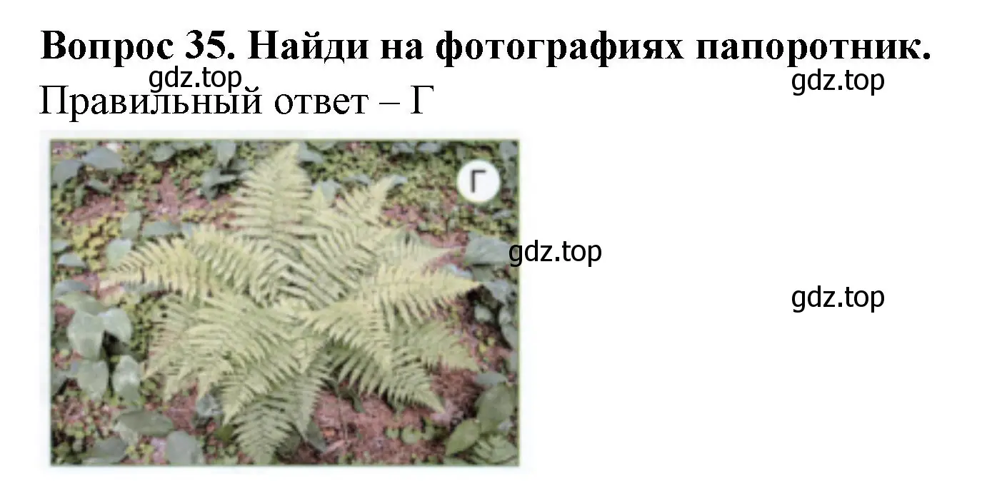 Решение номер 35 (страница 26) гдз по окружающему миру 3 класс Плешаков, Новицкая, тесты