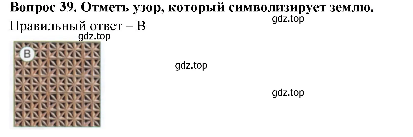 Решение номер 39 (страница 28) гдз по окружающему миру 3 класс Плешаков, Новицкая, тесты