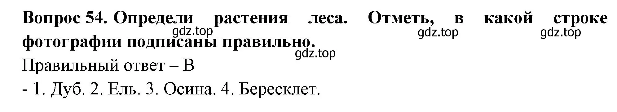 Решение номер 54 (страница 33) гдз по окружающему миру 3 класс Плешаков, Новицкая, тесты