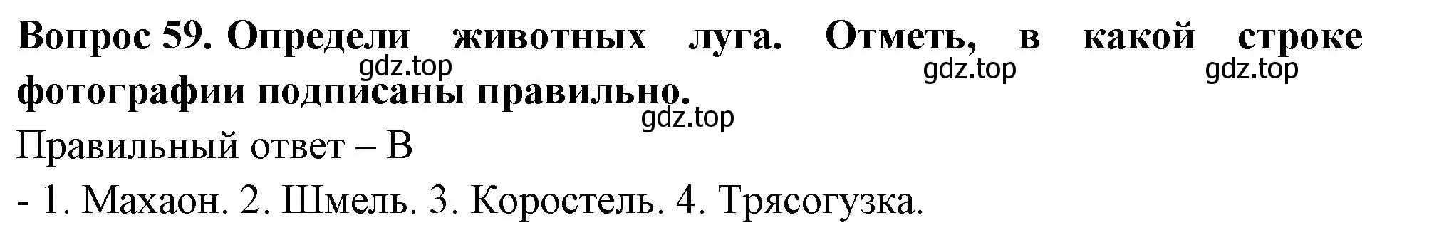 Решение номер 59 (страница 36) гдз по окружающему миру 3 класс Плешаков, Новицкая, тесты