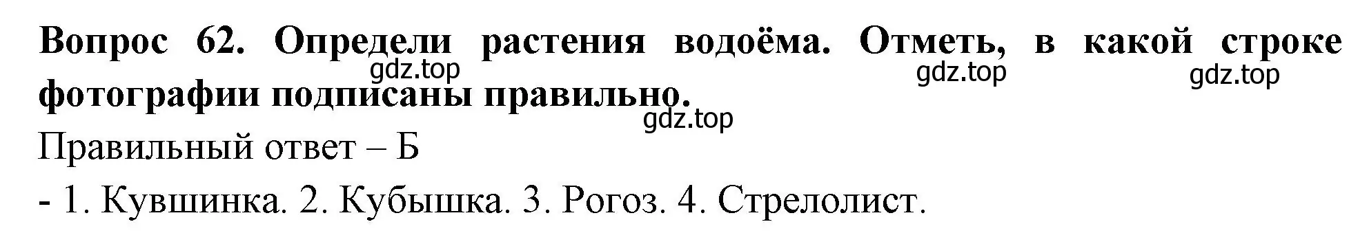 Решение номер 62 (страница 37) гдз по окружающему миру 3 класс Плешаков, Новицкая, тесты