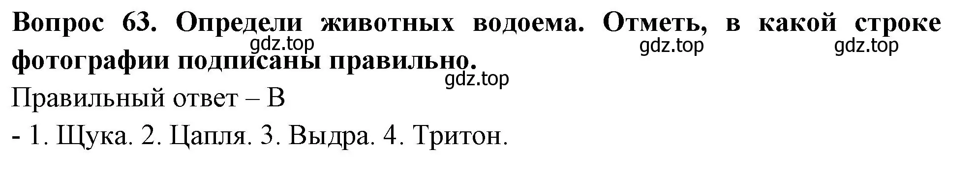 Решение номер 63 (страница 38) гдз по окружающему миру 3 класс Плешаков, Новицкая, тесты