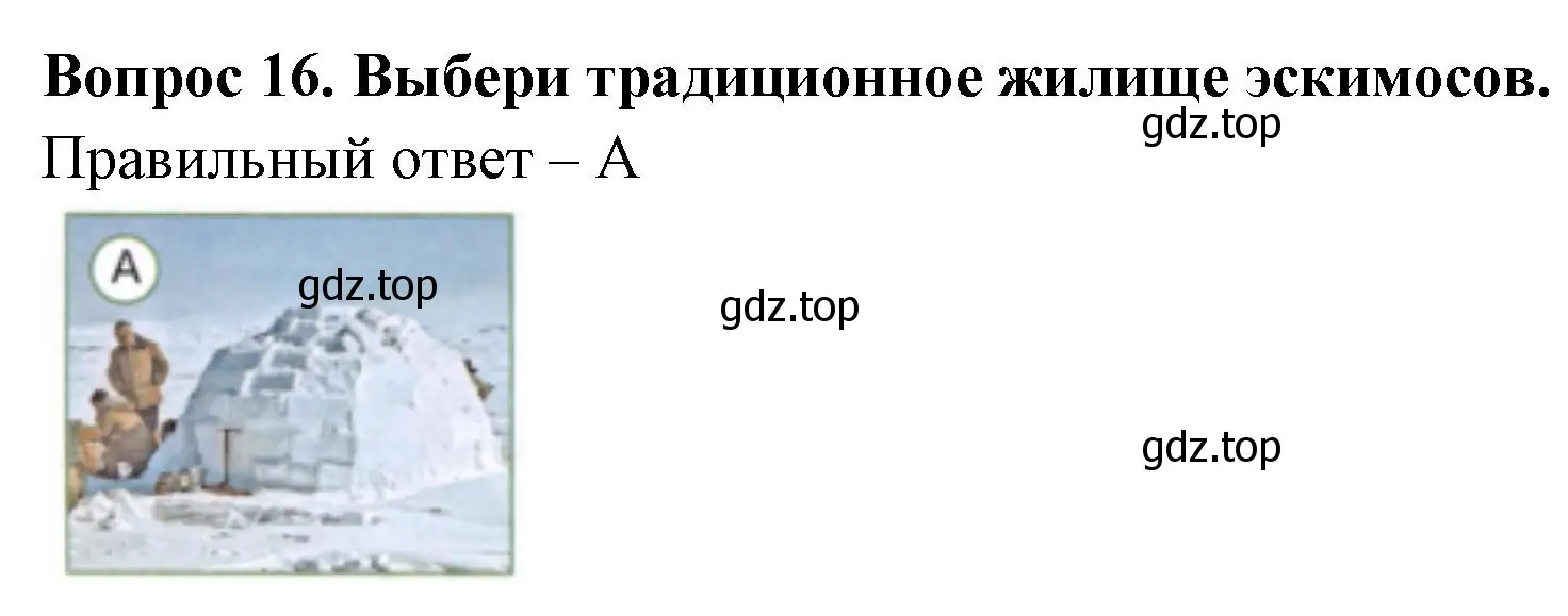 Решение номер 16 (страница 45) гдз по окружающему миру 3 класс Плешаков, Новицкая, тесты