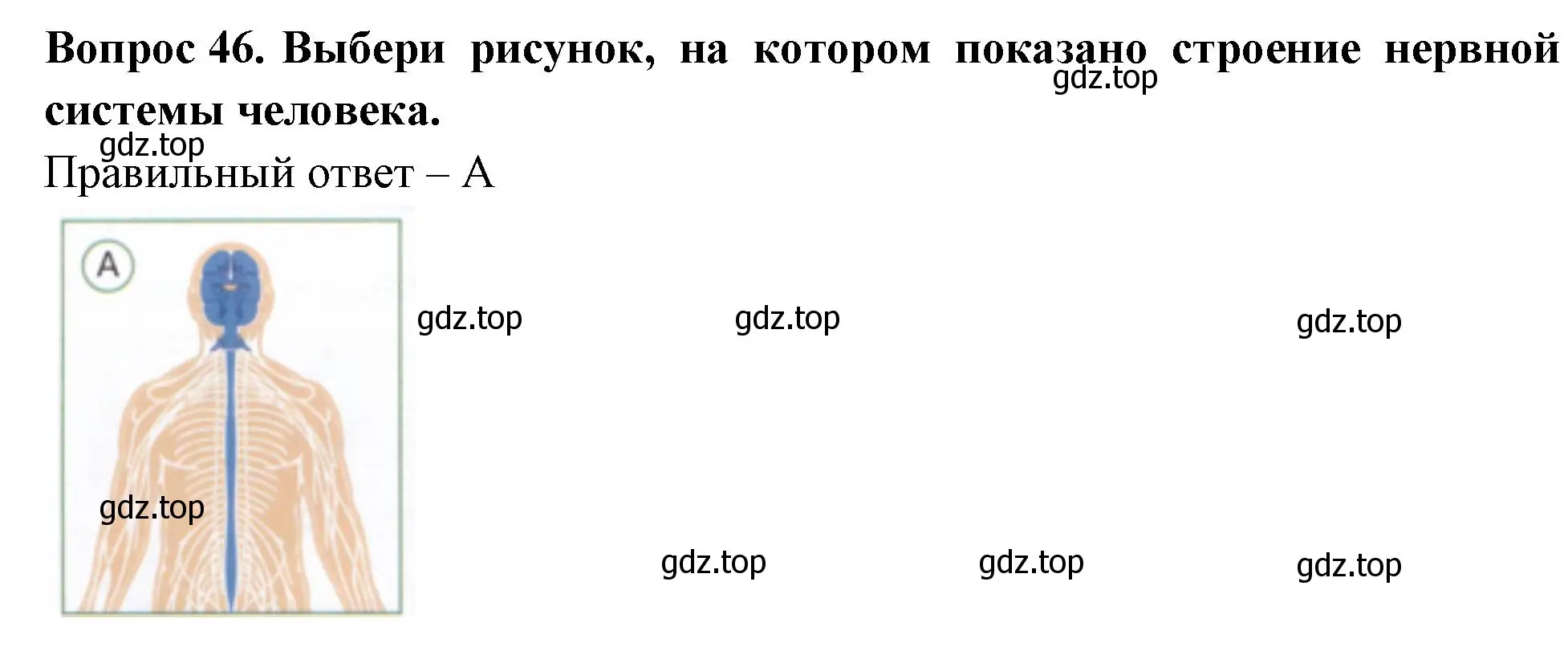 Решение номер 46 (страница 52) гдз по окружающему миру 3 класс Плешаков, Новицкая, тесты