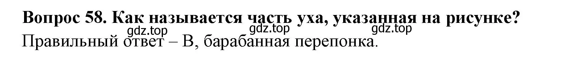 Решение номер 58 (страница 56) гдз по окружающему миру 3 класс Плешаков, Новицкая, тесты