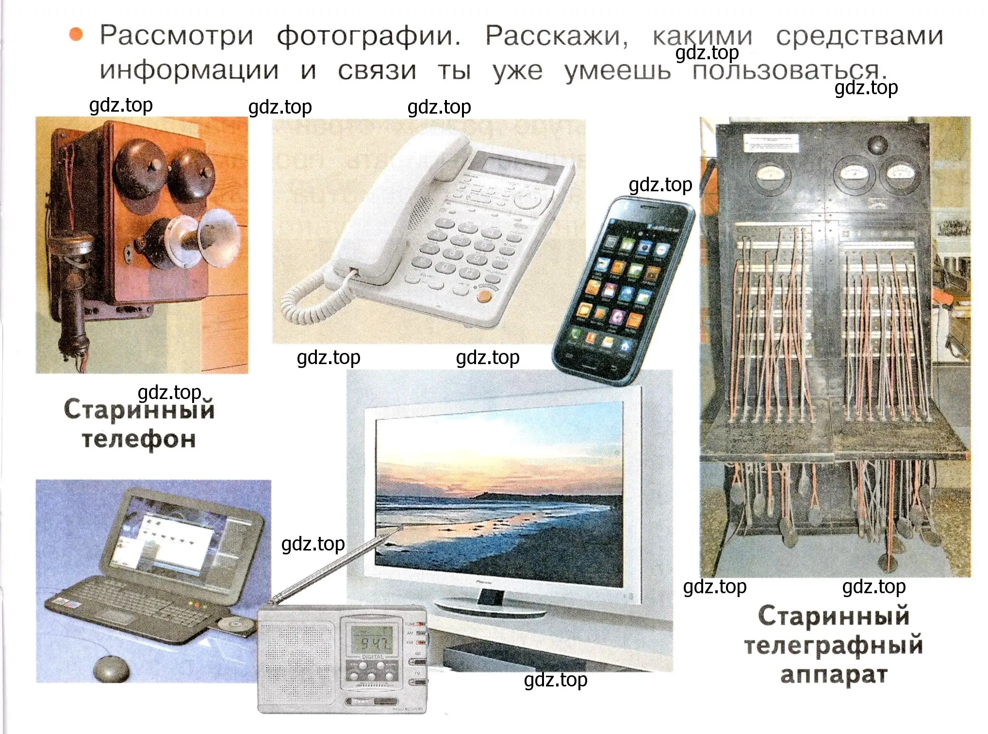 Условие номер 1 (страница 43) гдз по окружающему миру 3 класс Плешаков, Новицкая, учебник 1 часть