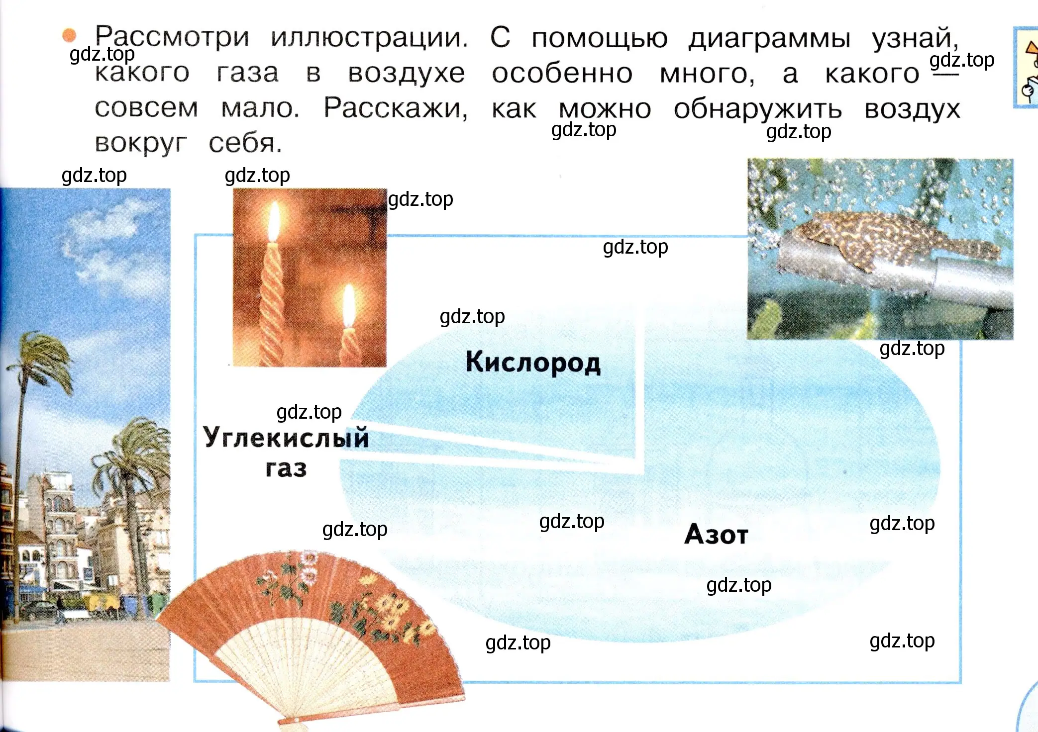 Условие номер 1 (страница 61) гдз по окружающему миру 3 класс Плешаков, Новицкая, учебник 1 часть