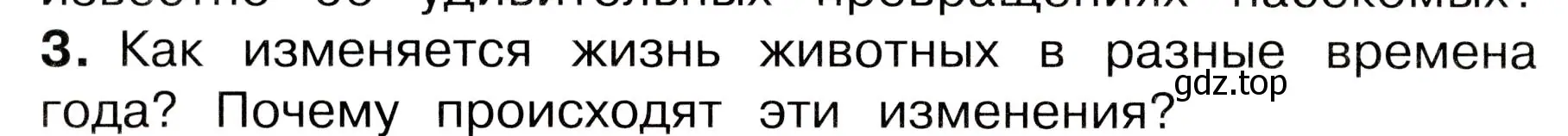 Условие номер 3 (страница 88) гдз по окружающему миру 3 класс Плешаков, Новицкая, учебник 1 часть